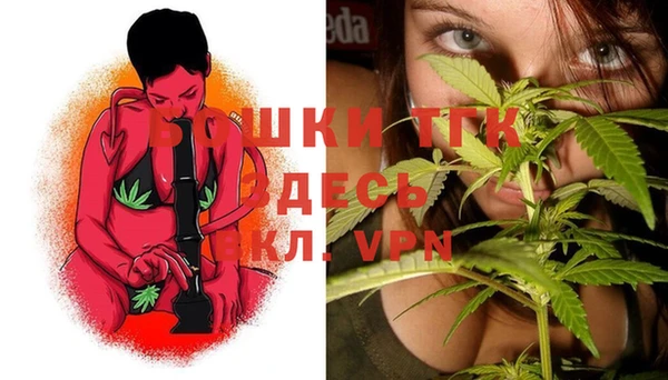 молекула духа Мегион