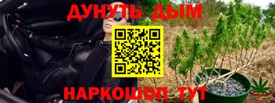 spice Гагарин
