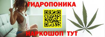 трава Гатчина