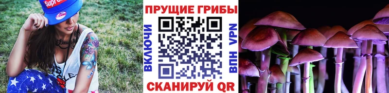 Галлюциногенные грибы прущие грибы  Кимовск 