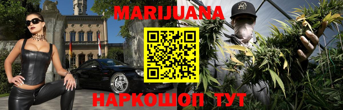 Марихуана сатива Кимовск