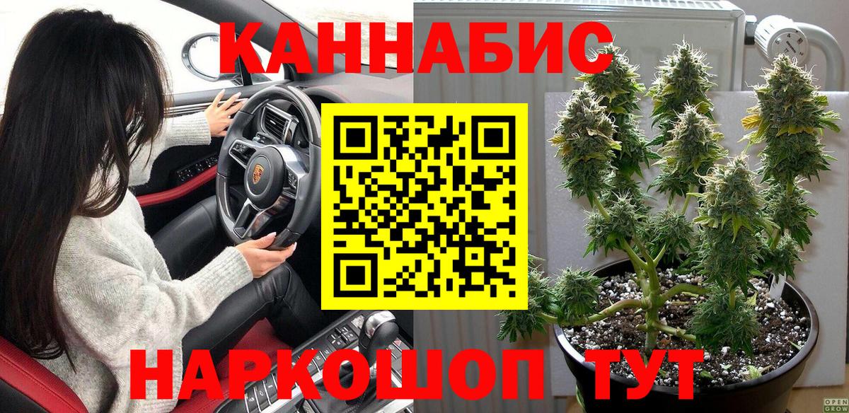 Бошки марихуана VHQ  Конопля гибрид  Вход с VPN  Кимовск  Конопля White Widow 